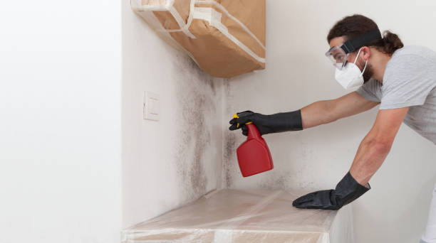 Professional Black Mold Removal technician working in Glen Cove, NY