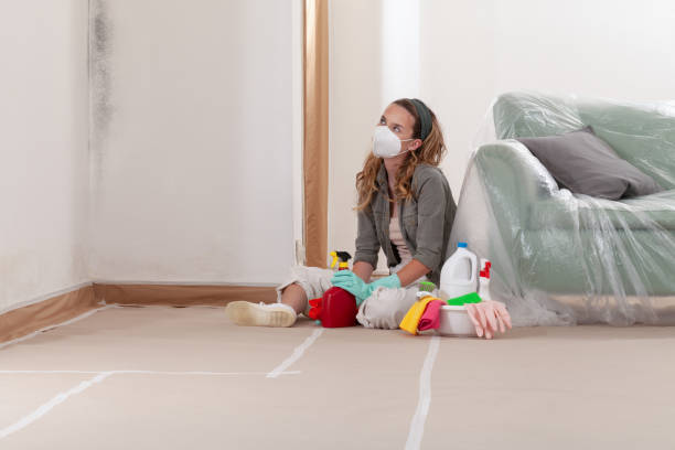 Reliable Black Mold Removal contractor in Glen Cove, NY by WQB Mold Removal